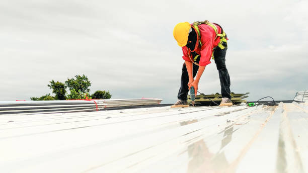 Best Gutter Installation and Repair  in Coplay, PA