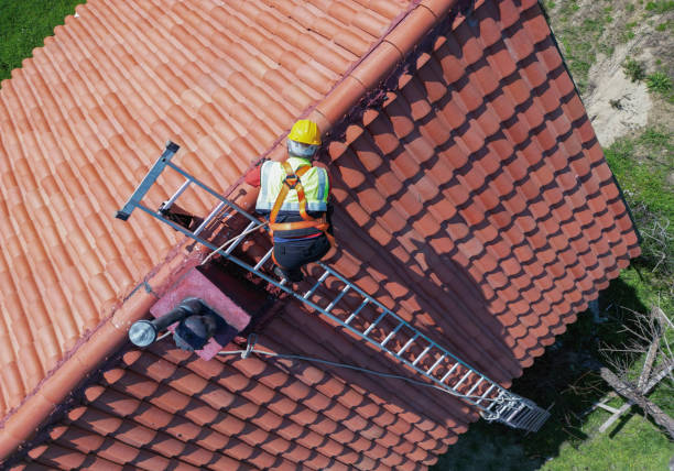 Best Roof Moss and Algae Removal  in Coplay, PA