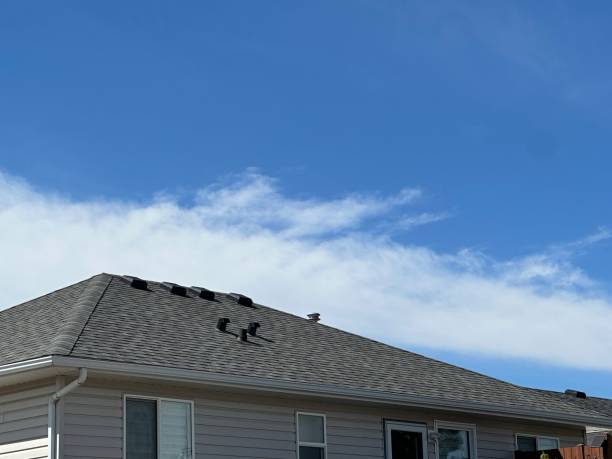 Best Roof Ventilation Installation  in Coplay, PA